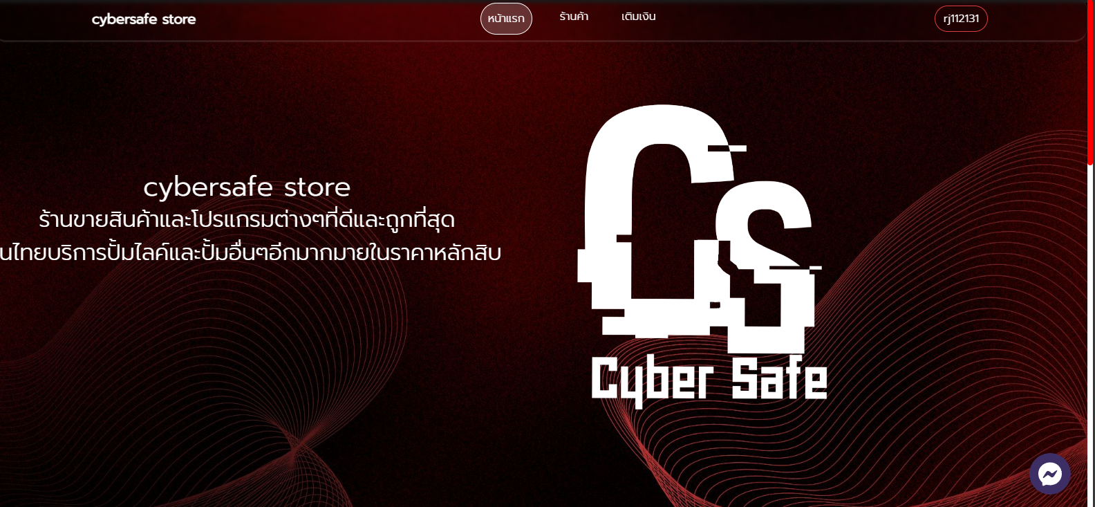 project web store